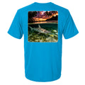 Turquoise - 200 - BACK