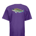 PURPLE - NB3142 - BACK