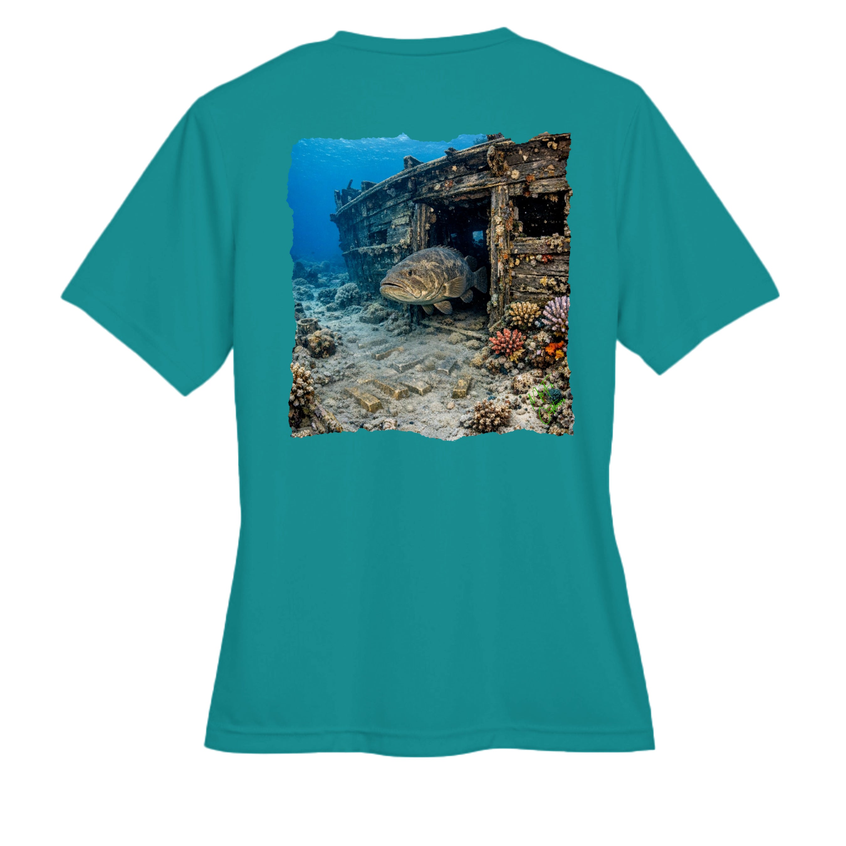 Clear Teal - TT11W - BACK