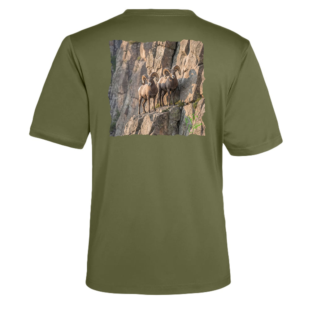 Military Green - CE10 - BACK