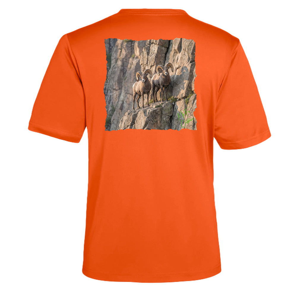 Campus Orange - CE10 - BACK