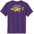 Team Purple - PC380Y - BACK